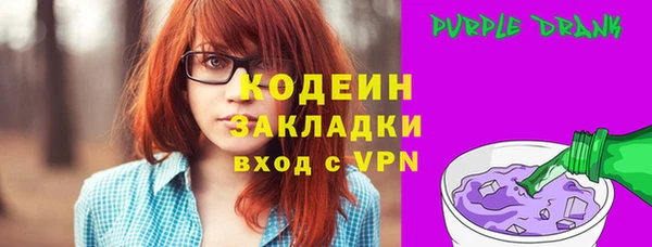 шишки Весьегонск