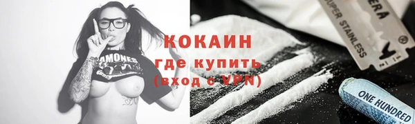 шишки Весьегонск