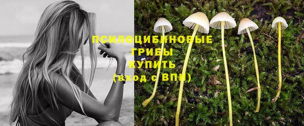 прущая мука Всеволожск