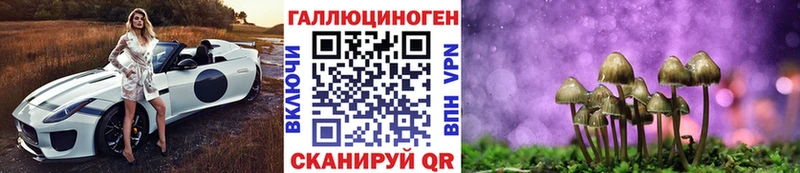 Псилоцибиновые грибы мицелий  купить наркотики сайты  Отрадный 