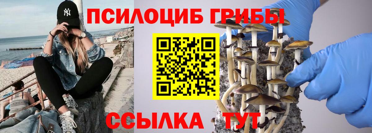 Галлюциногенные грибы ЛСД  Вход с VPN  Отрадный 